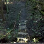 The journey seems uncertain and dark, the path is clearly marked and yet still it takes a leap of faith to pass over and see what is on the other side.