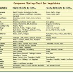 Companion Planting Chart via Heirloom Organics