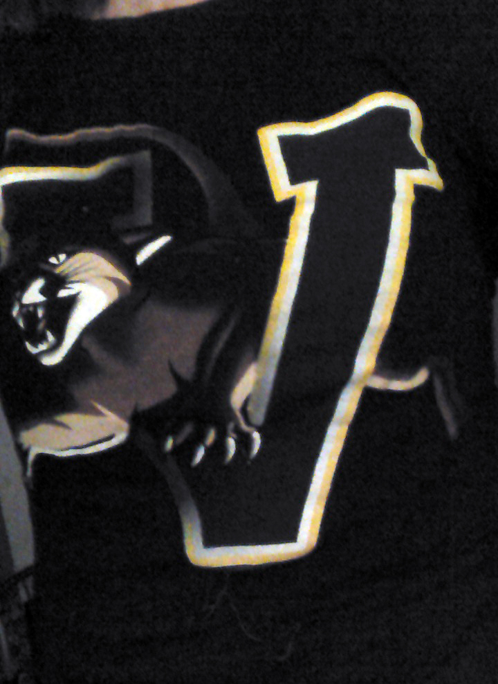 My "Team Spirit" shirt for the day.